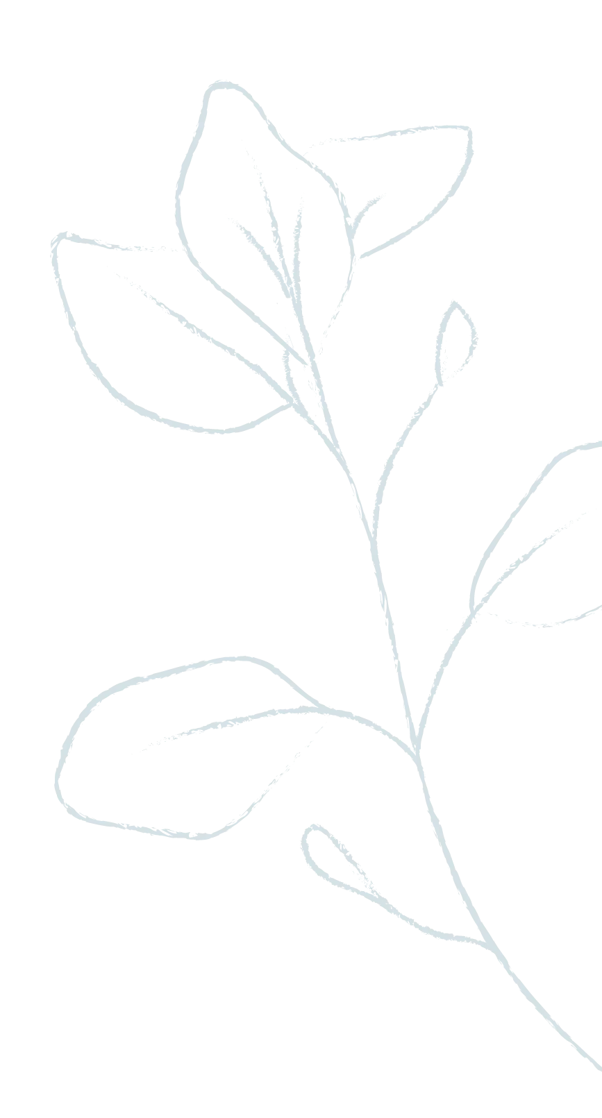 Ilustración floral decorativa